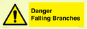 danger-falling-branches~